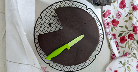 Decadent Coconut Flour Chocolate Cake Recipe