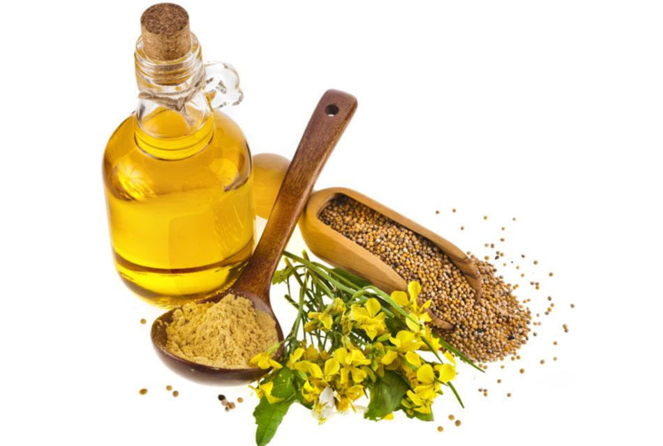 المانجا المخلل بزيت الخردل