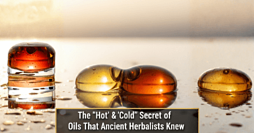 The Ancient Art of Blending: What "Hot" and "Cold" Oils Can Teach Us About Modern Wellness