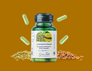 Supplement